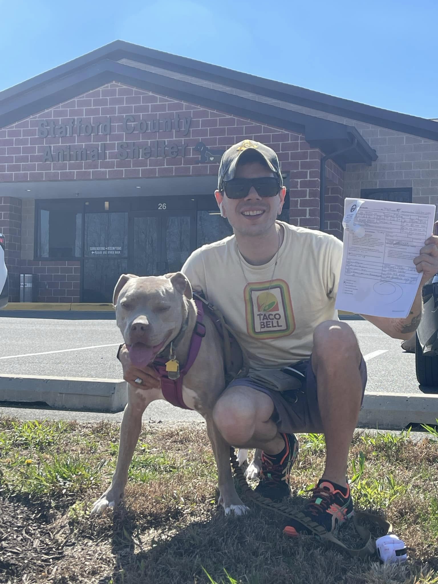 Honey at the shelter