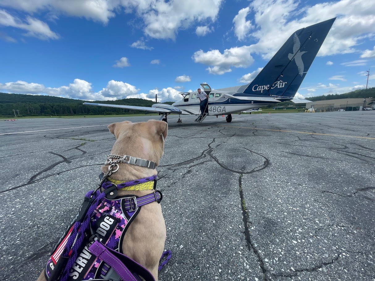 Honey traveling