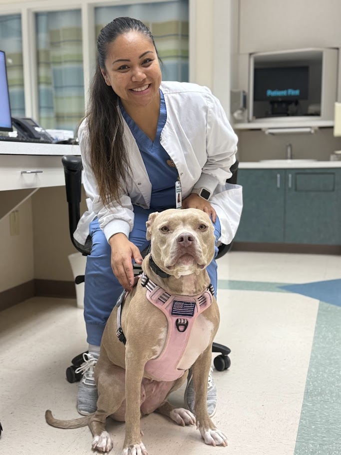 Honey representing shelter dogs in advocacy