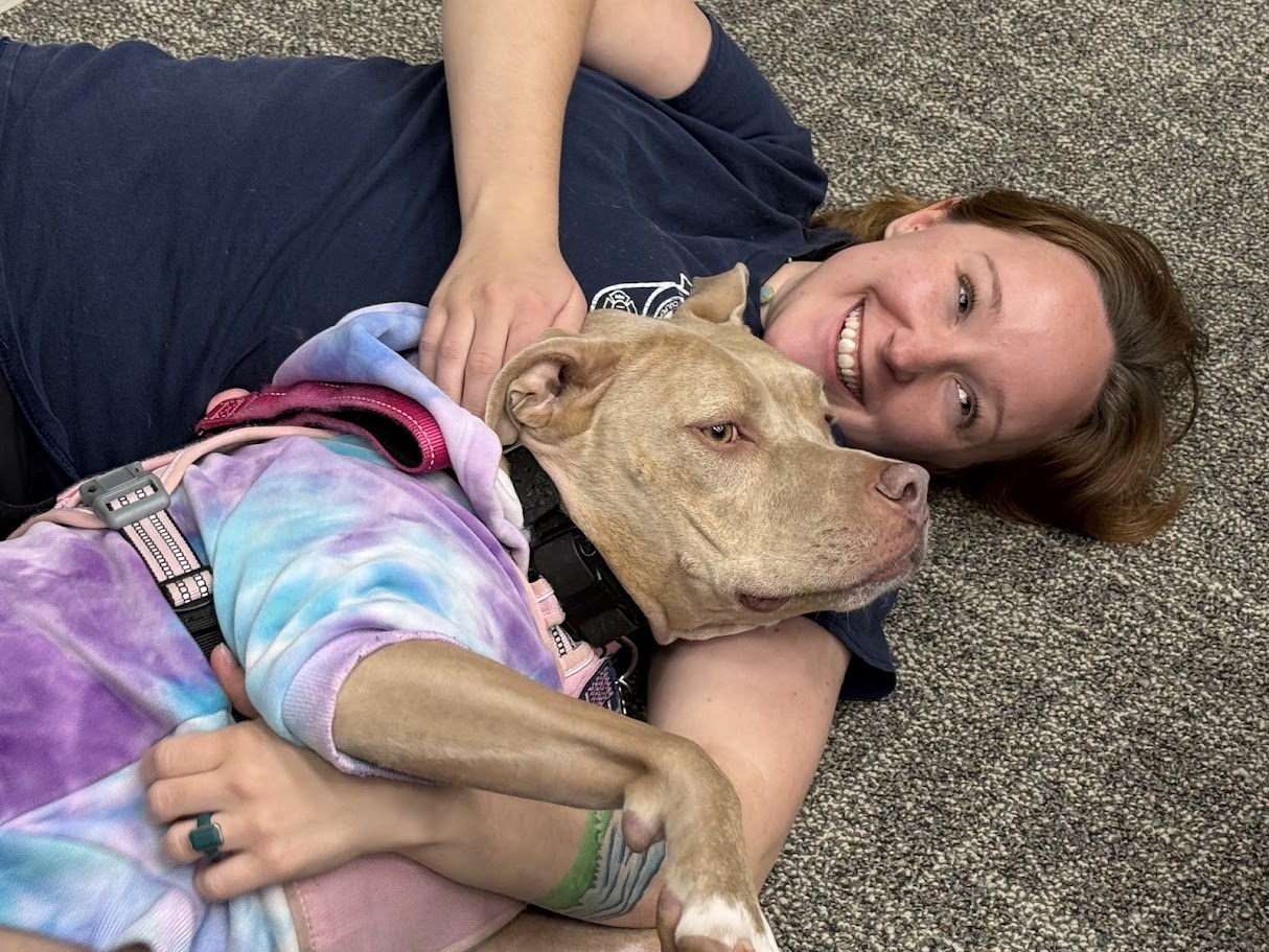 Honey providing comfort at a crisis scene
